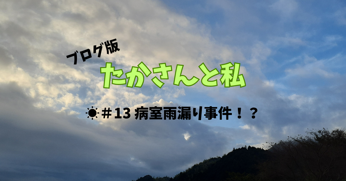 たかさん１３